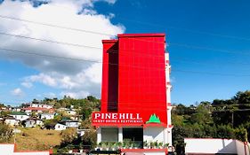 Pine Hill Comfort Stay